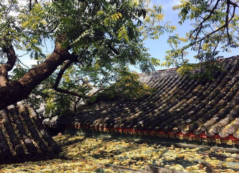 户外景观 照片