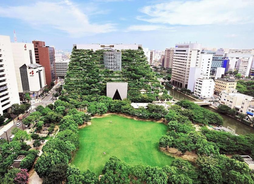 户外景观 照片