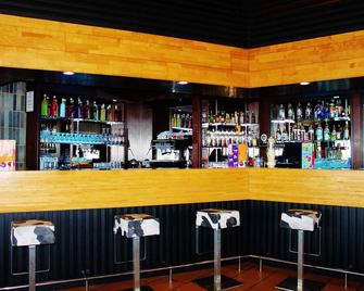 VVF 乡村酒店 - 埃维昂莱班 - 日内瓦湖岸 - 埃维昂莱班 - 酒吧
