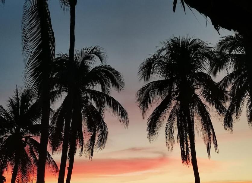 户外景观 照片