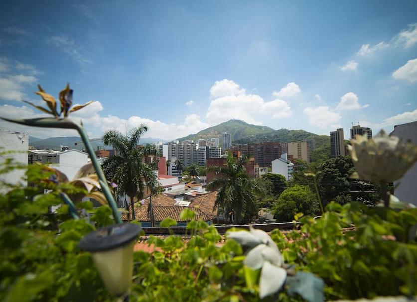 户外景观 照片