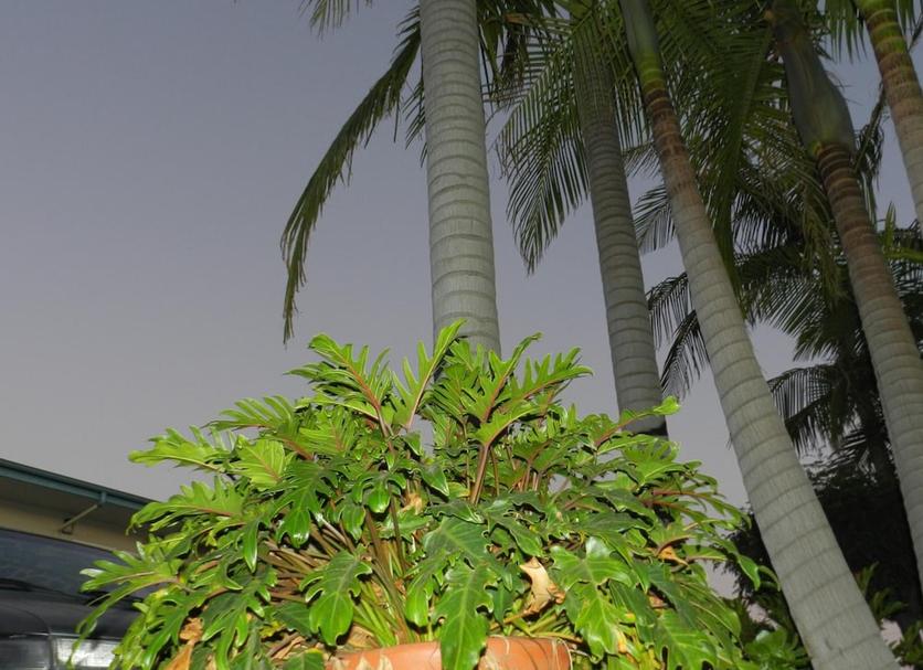 户外景观 照片