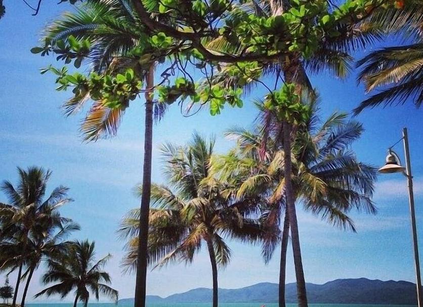 户外景观 照片