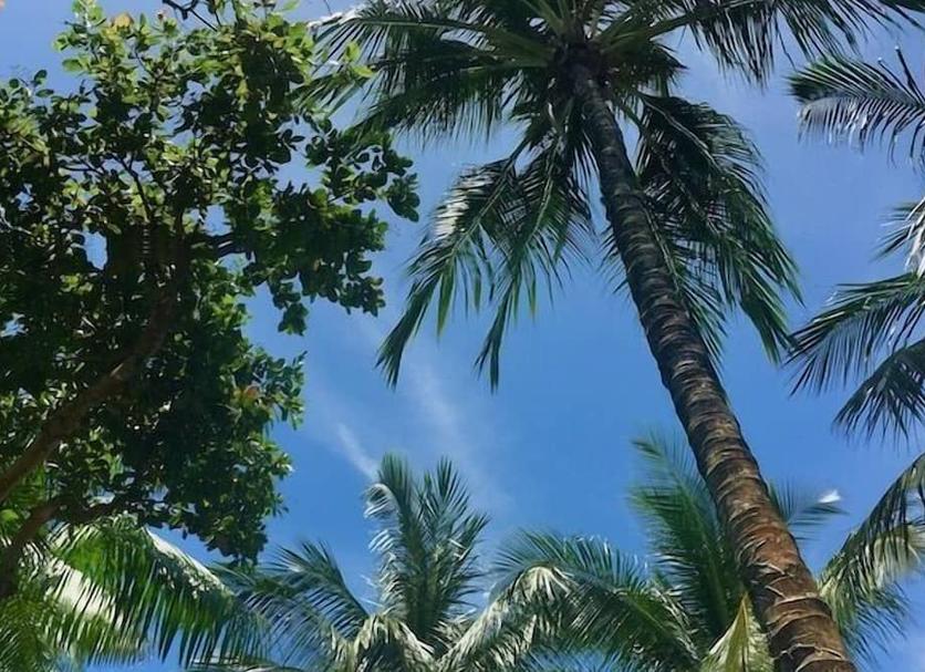 户外景观 照片