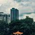 户外景观