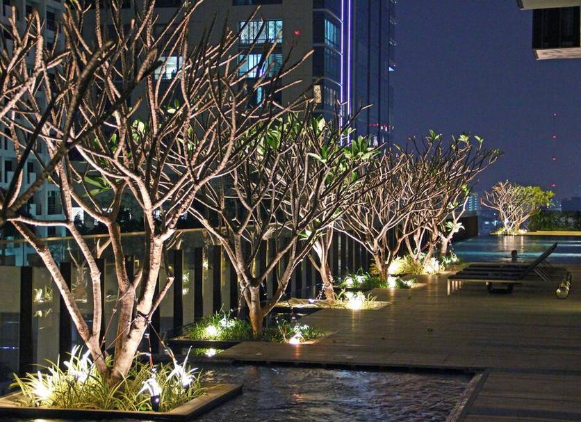 户外景观 照片