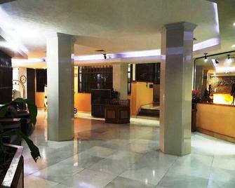 Ambassador Hotel Ciudad de México - 墨西哥城 - 大厅