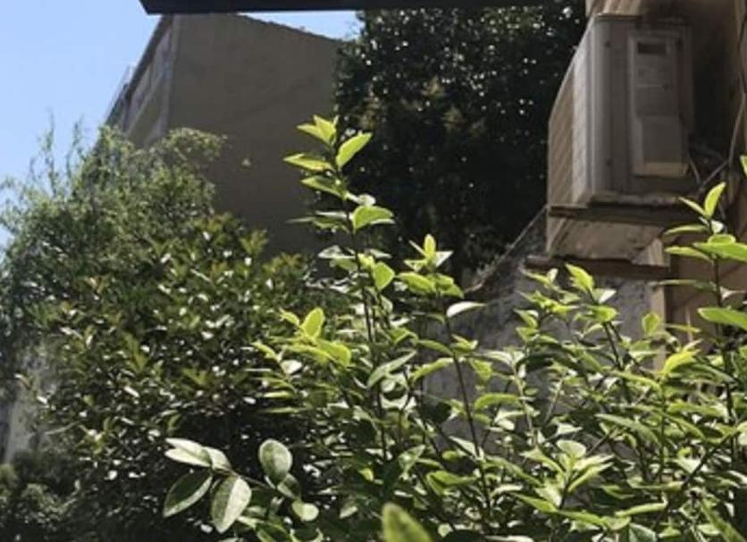 户外景观 照片