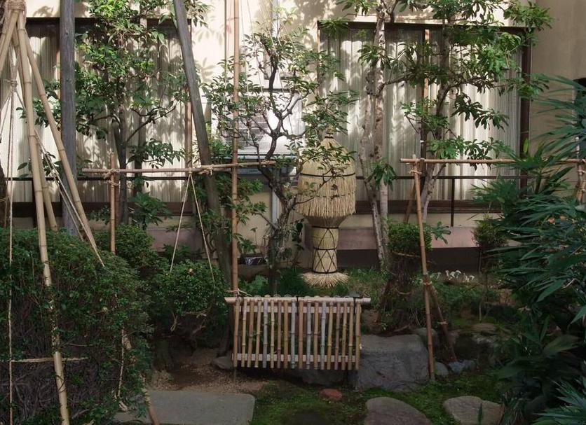户外景观 照片