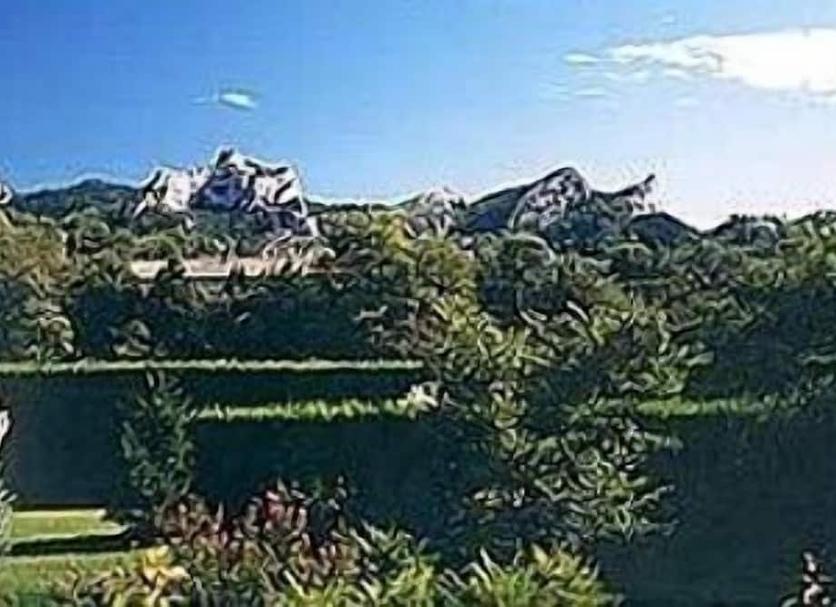 户外景观 照片