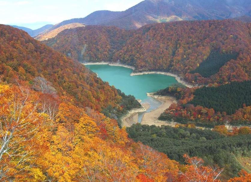 户外景观 照片
