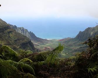 White Sand Beaches on the Sunny Westside of Kauai. - 凯卡哈 - 户外景观