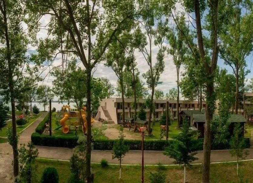 户外景观 照片