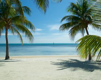 Exotic Caye Beach Resort - 圣佩德罗 - 海滩